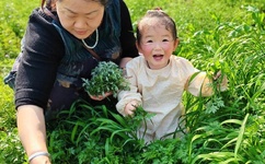 51吃瓜爆料黑料网曝门